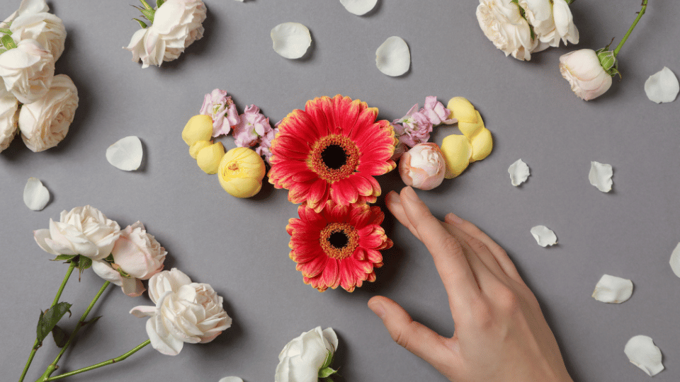 oral contraception in Chelmsford