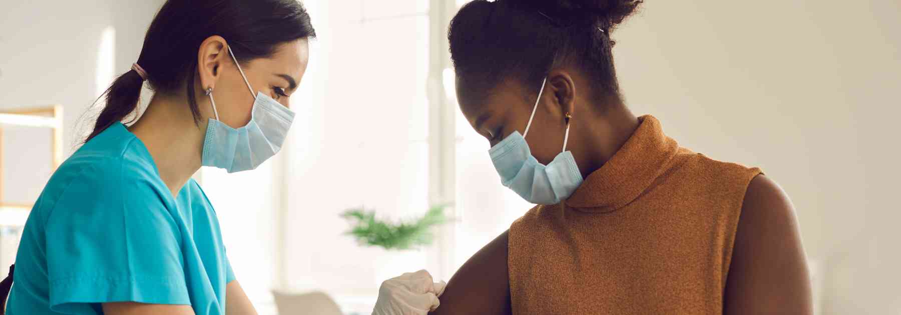 how the japanese encephalitis vaccine works